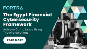 Egypt Financial Cybersecurity Framework Datasheet