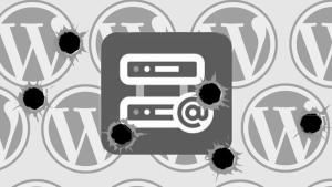 wordpress-plugin-holes