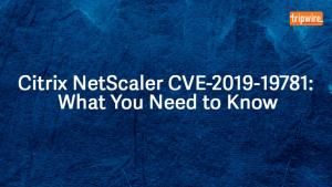 Citrix NetScaler CVE-2019-19781: What You Need to Know