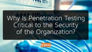 Why Is Penetration Testing Critical to the Security of the Organization?