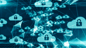 Cloud Security: A Cloud Provider-User Partnership