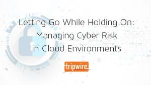 Letting Go While Holding On: Managing Cyber Risk in Cloud Environments