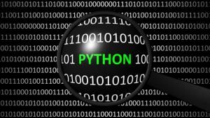 Digging for Security Bugs in Python Code