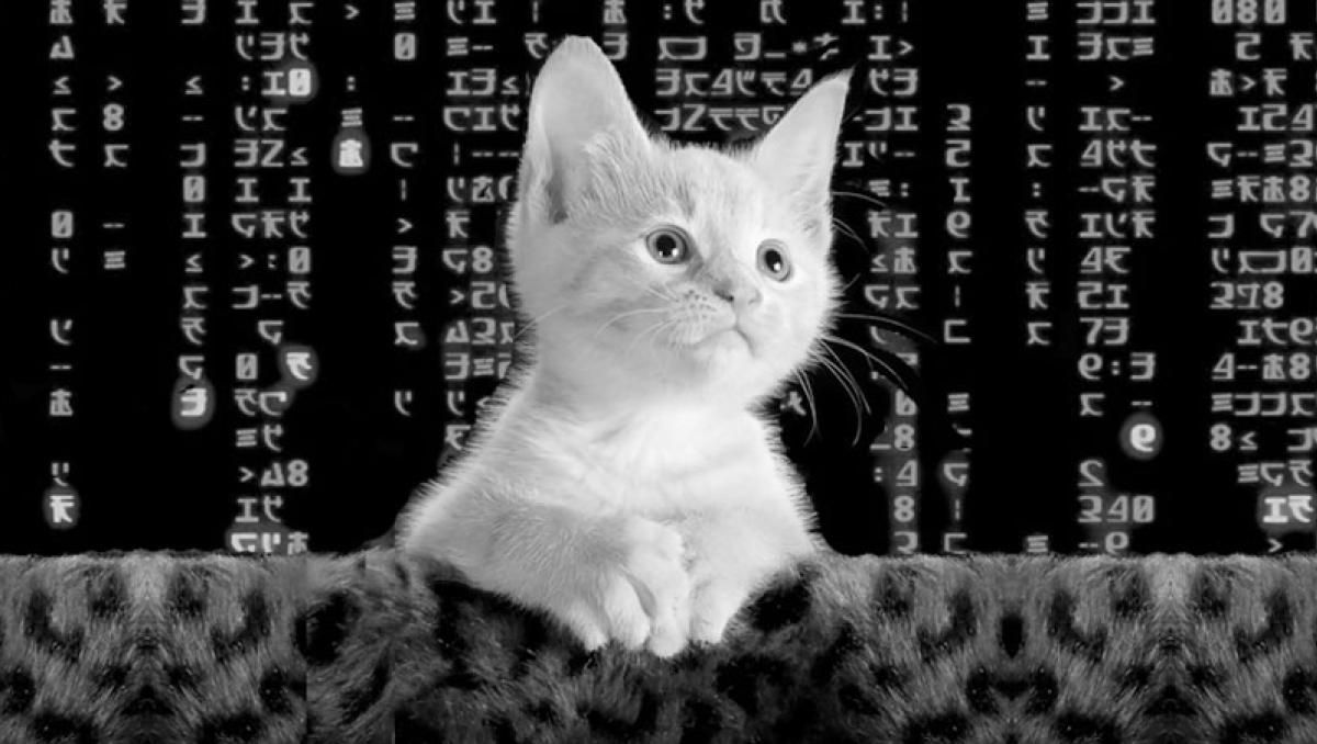 Charming Kitten targets critical infrastructure in US and elsewhere with BellaCiao malware - grahamcluley.com